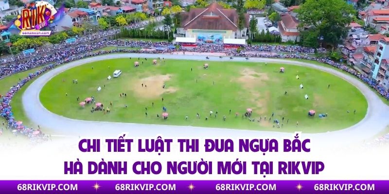 Chi tiết luật thi đua ngựa Bắc Hà dành cho người mới tại Rikvip