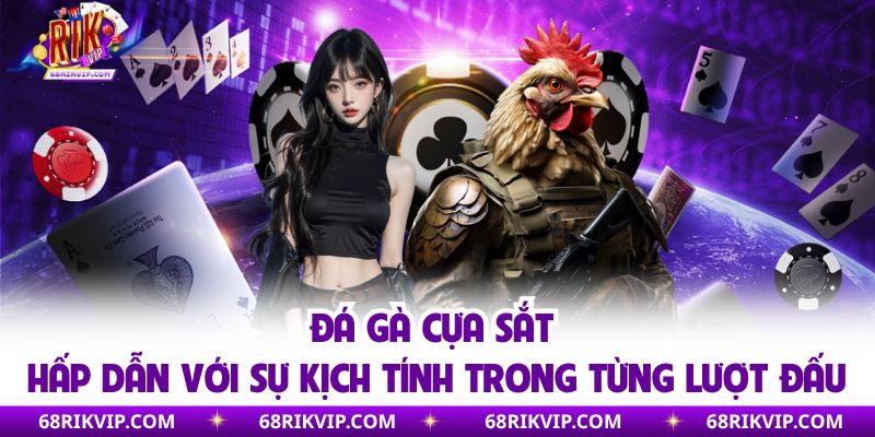 Đá gà cựa sắt hấp dẫn với sự kịch tính trong từng lượt đấu