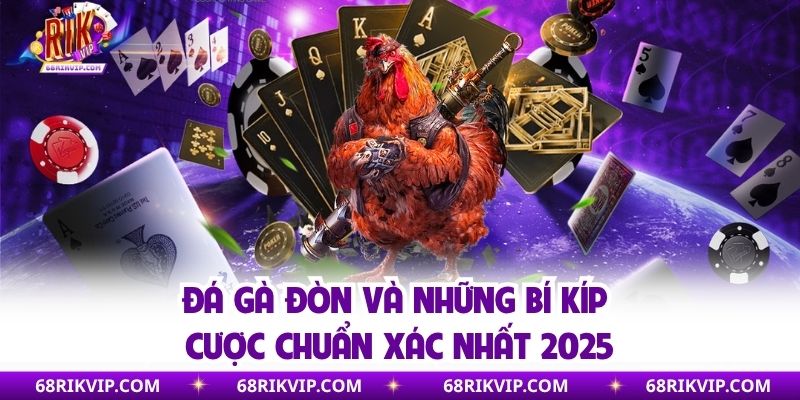 Đá Gà Đòn Và Những Bí Kíp Cược Chuẩn Xác Nhất 2025