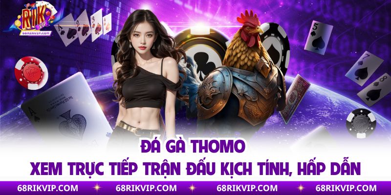 Đá Gà Thomo | Xem Trực Tiếp Trận Đấu Kịch Tính, Hấp Dẫn