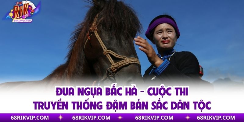 Đua Ngựa Bắc Hà - Cuộc Thi Truyền Thống Đậm Bản Sắc Dân Tộc