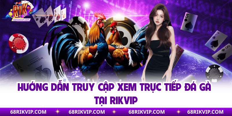 Hướng dẫn truy cập xem trực tiếp đá gà tại Rikvip