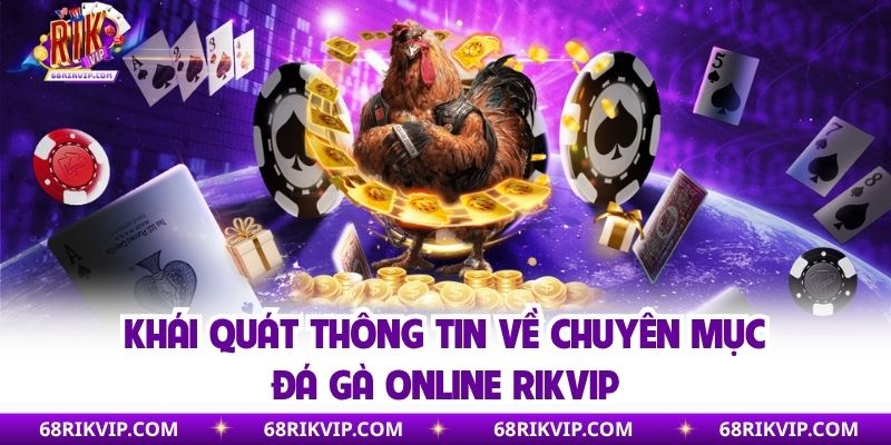 Khái quát thông tin về chuyên mục đá gà online Rikvip