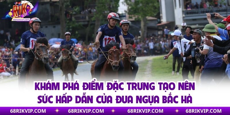 Khám phá điểm đặc trưng tạo nên sức hấp dẫn của đua ngựa Bắc Hà