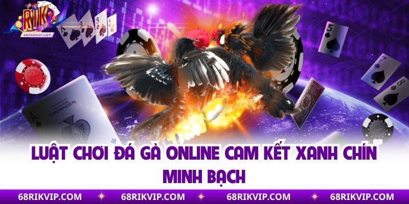 Luật chơi đá gà online cam kết xanh chín minh bạch