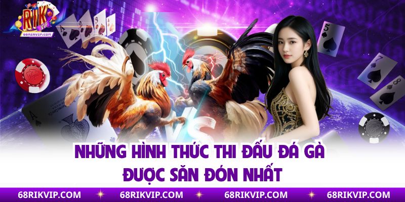 Những hình thức thi đấu đá gà được săn đón nhất