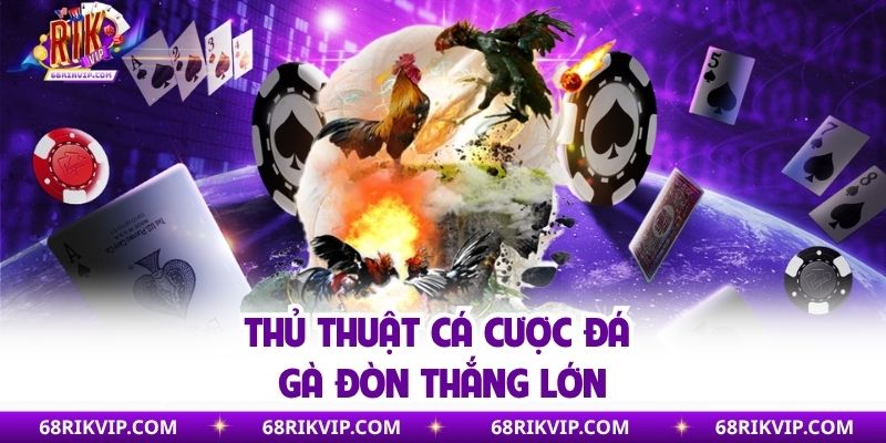 Thủ thuật cá cược đá gà đòn thắng lớn