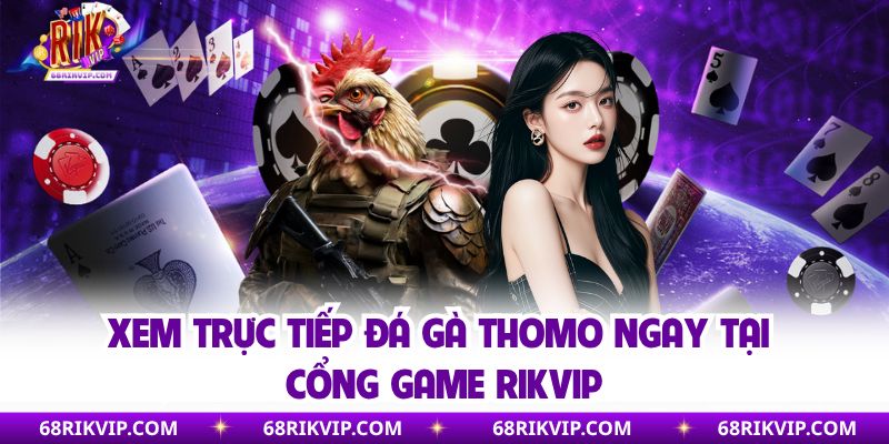 Xem trực tiếp đá gà Thomo ngay tại cổng game Rikvip